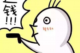 吴堡贷款清欠服务